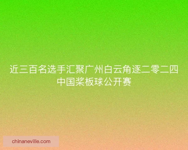 近三百名选手汇聚广州白云角逐二零二四中国桨板球公开赛