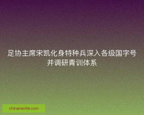 足协主席宋凯化身特种兵深入各级国字号并调研青训体系 足协主席宋凯化身特种兵深入各级国字号并调研青训体系