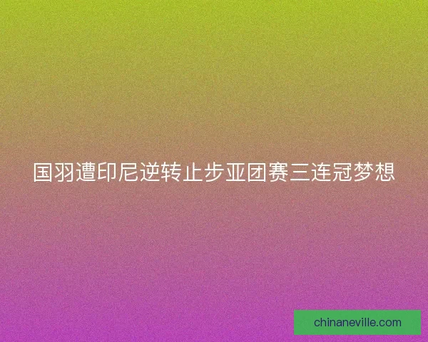 国羽遭印尼逆转止步亚团赛三连冠梦想